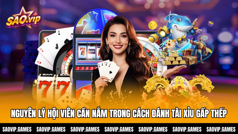Nguyên lý hội viên cần nắm trong cách đánh tài xỉu gấp thếp